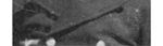 Ernst Mareck